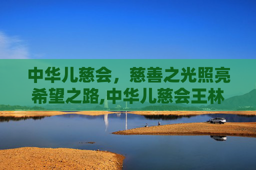 中华儿慈会，慈善之光照亮希望之路,中华儿慈会王林