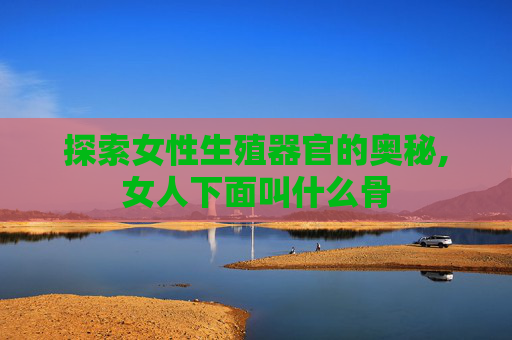 探索女性生殖器官的奥秘,女人下面叫什么骨