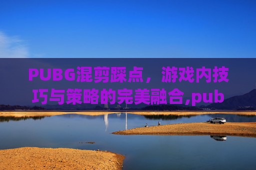 PUBG混剪踩点，游戏内技巧与策略的完美融合,pubg视频超燃剪辑