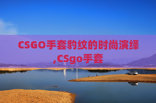 CSGO手套豹纹的时尚演绎,CSgo手套