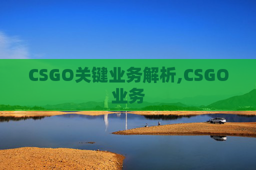 CSGO关键业务解析,CSGO业务