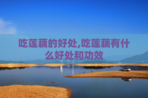 吃莲藕的好处,吃莲藕有什么好处和功效