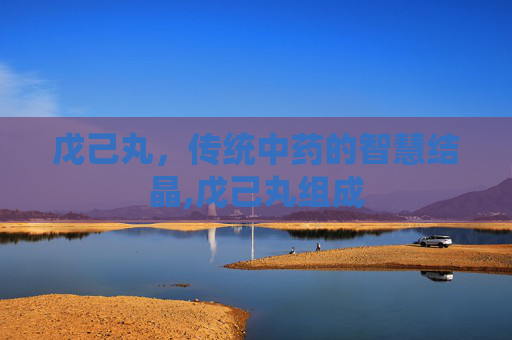 戊己丸，传统中药的智慧结晶,戊己丸组成