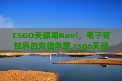 CSGO天禄与Navi，电子竞技界的双雄争霸,csgo天禄和猎鹰
