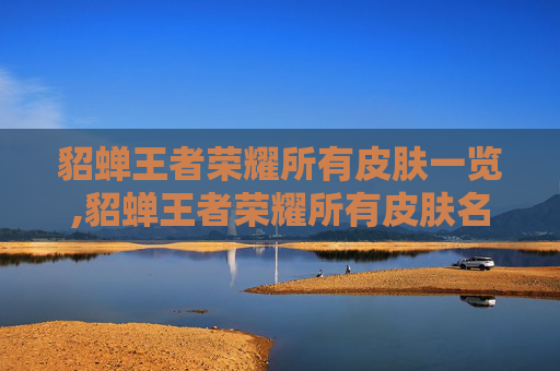 貂蝉王者荣耀所有皮肤一览,貂蝉王者荣耀所有皮肤名字