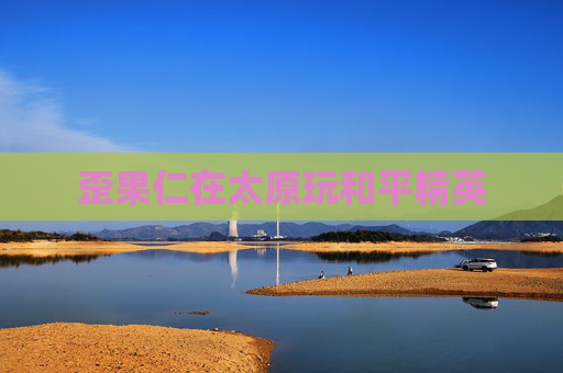 歪果仁在太原玩和平精英