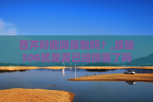 西芹籽能降尿酸吗？,尿酸500就是肾已经损害了吗