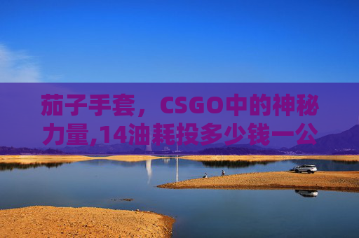 茄子手套，CSGO中的神秘力量,14油耗投多少钱一公里