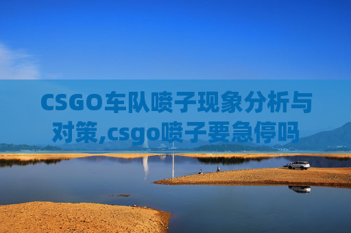 CSGO车队喷子现象分析与对策,csgo喷子要急停吗