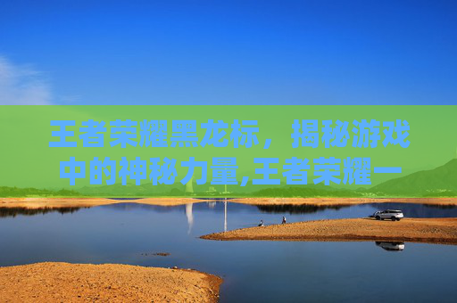 王者荣耀黑龙标，揭秘游戏中的神秘力量,王者荣耀一个龙头标志是什么