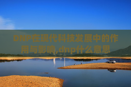 DNP在现代科技发展中的作用与影响,dnp什么意思