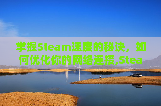 掌握Steam速度的秘诀，如何优化你的网络连接,Steam游戏内速度慢