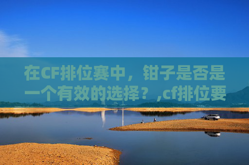 在CF排位赛中，钳子是否是一个有效的选择？,cf排位要求