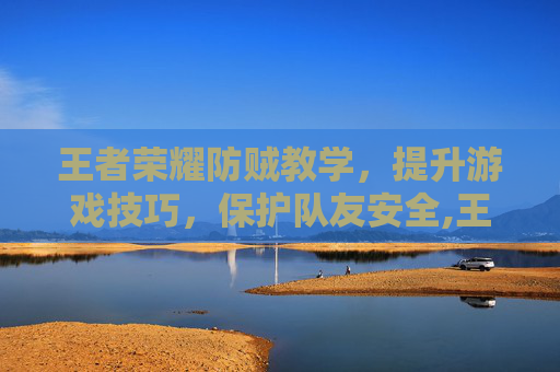 王者荣耀防贼教学，提升游戏技巧，保护队友安全,王者荣耀防御