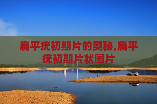 扁平疣初期片的奥秘,扁平疣初期片状图片