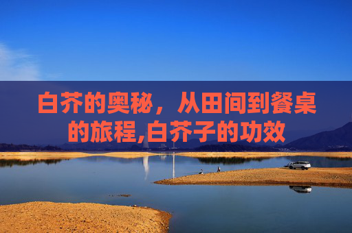 白芥的奥秘，从田间到餐桌的旅程,白芥子的功效