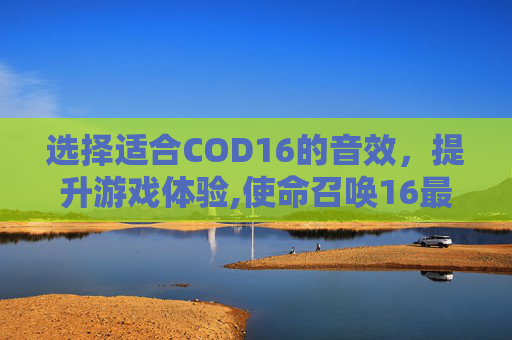 选择适合COD16的音效，提升游戏体验,使命召唤16最佳音效