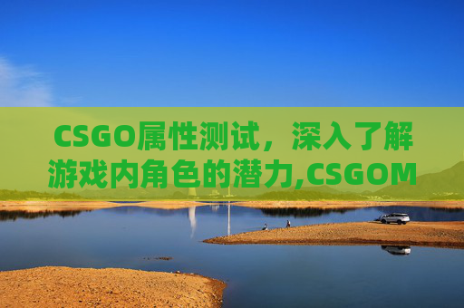 CSGO属性测试，深入了解游戏内角色的潜力,CSGOM测试