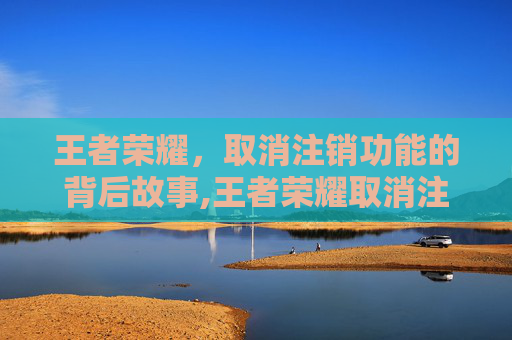 王者荣耀，取消注销功能的背后故事,王者荣耀取消注销怎么弄