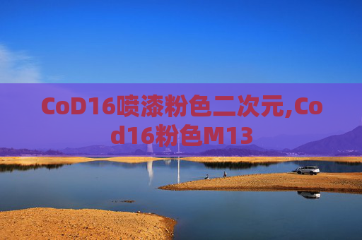 CoD16喷漆粉色二次元,Cod16粉色M13