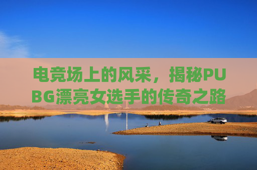 电竞场上的风采，揭秘PUBG漂亮女选手的传奇之路,pubg职业女选手