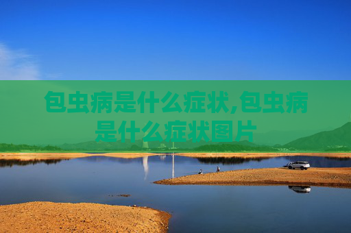 包虫病是什么症状,包虫病是什么症状图片