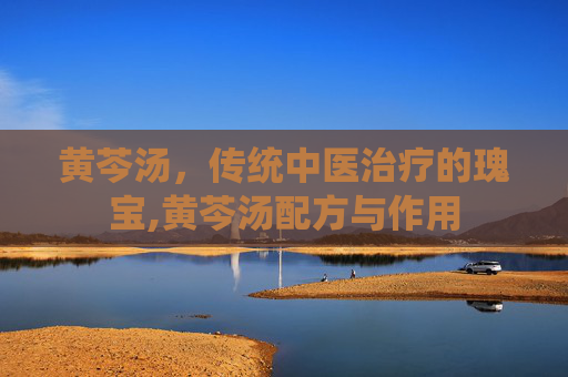 黄芩汤，传统中医治疗的瑰宝,黄芩汤配方与作用