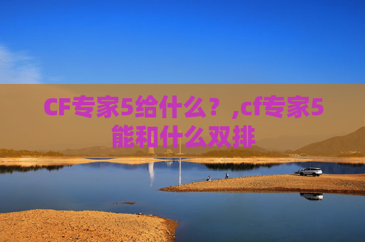 CF专家5给什么？,cf专家5能和什么双排