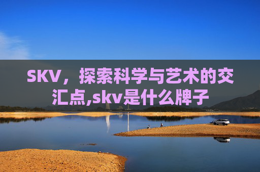 SKV，探索科学与艺术的交汇点,skv是什么牌子