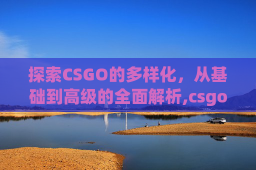 探索CSGO的多样化，从基础到高级的全面解析,csgo有几种版本