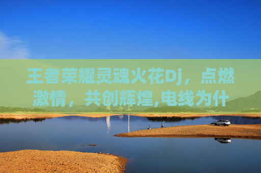 王者荣耀灵魂火花Dj，点燃激情，共创辉煌,电线为什么是两根