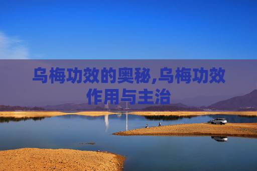 乌梅功效的奥秘,乌梅功效作用与主治