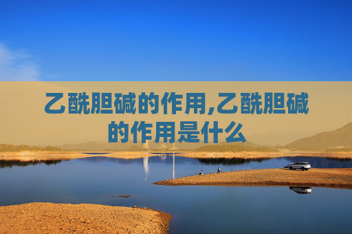 乙酰胆碱的作用,乙酰胆碱的作用是什么