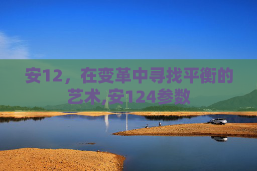 安12，在变革中寻找平衡的艺术,安124参数