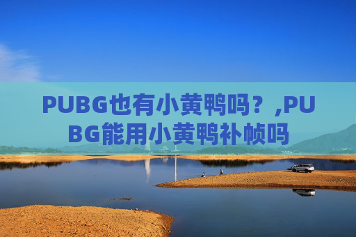 PUBG也有小黄鸭吗？,PUBG能用小黄鸭补帧吗