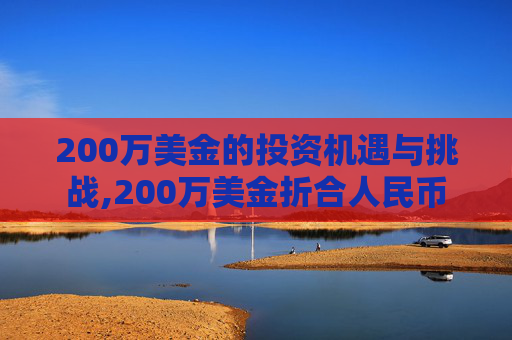 200万美金的投资机遇与挑战,200万美金折合人民币