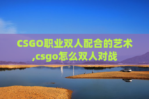 CSGO职业双人配合的艺术,csgo怎么双人对战