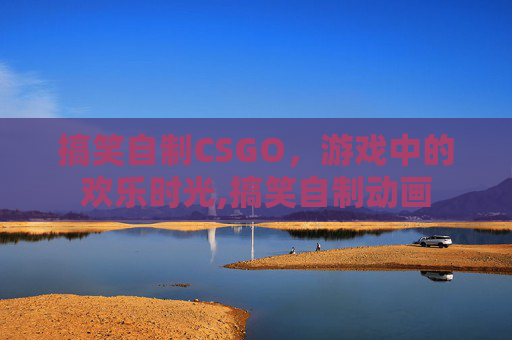 搞笑自制CSGO，游戏中的欢乐时光,搞笑自制动画