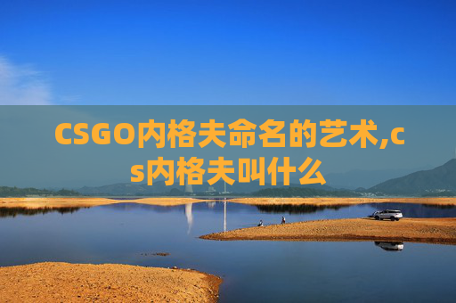 CSGO内格夫命名的艺术,cs内格夫叫什么