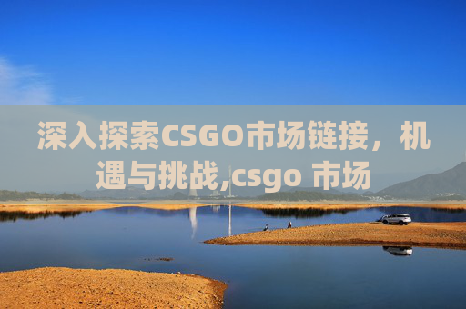 深入探索CSGO市场链接，机遇与挑战,csgo 市场