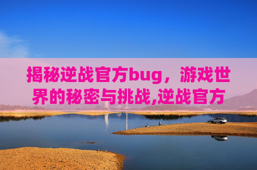 揭秘逆战官方bug，游戏世界的秘密与挑战,逆战官方网站进入官网