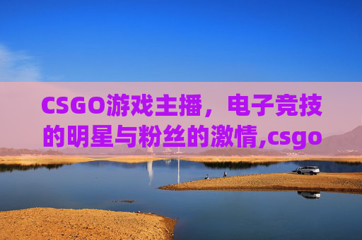 CSGO游戏主播，电子竞技的明星与粉丝的激情,csgo 游戏主播 niko