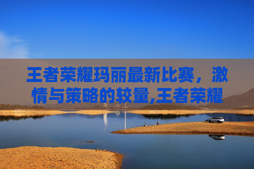 王者荣耀玛丽最新比赛，激情与策略的较量,王者荣耀马