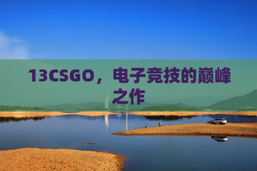 13CSGO，电子竞技的巅峰之作
