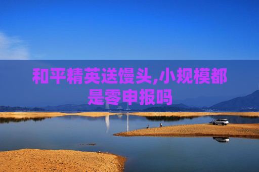 和平精英送馒头,小规模都是零申报吗