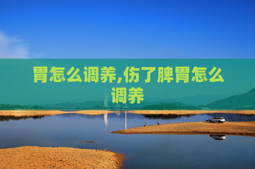 胃怎么调养,伤了脾胃怎么调养