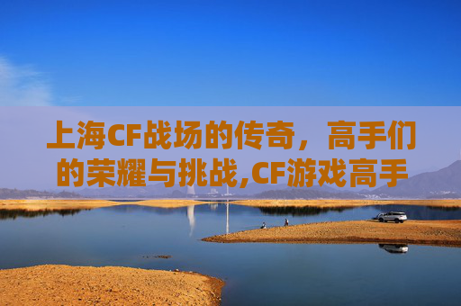上海CF战场的传奇，高手们的荣耀与挑战,CF游戏高手