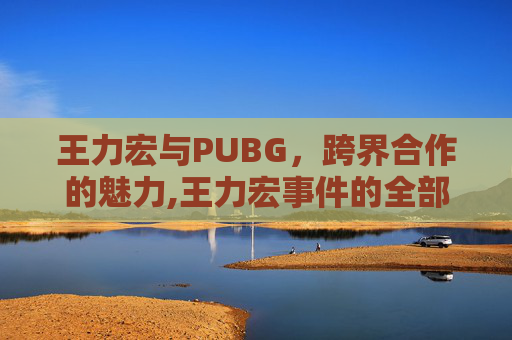 王力宏与PUBG，跨界合作的魅力,王力宏事件的全部真相视频
