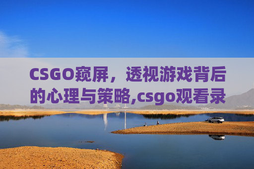 CSGO窥屏，透视游戏背后的心理与策略,csgo观看录像怎么控制