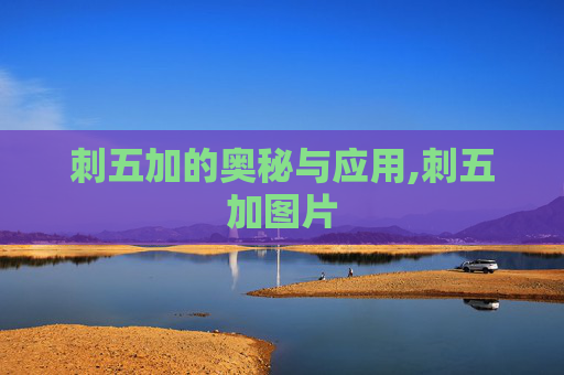 刺五加的奥秘与应用,刺五加图片